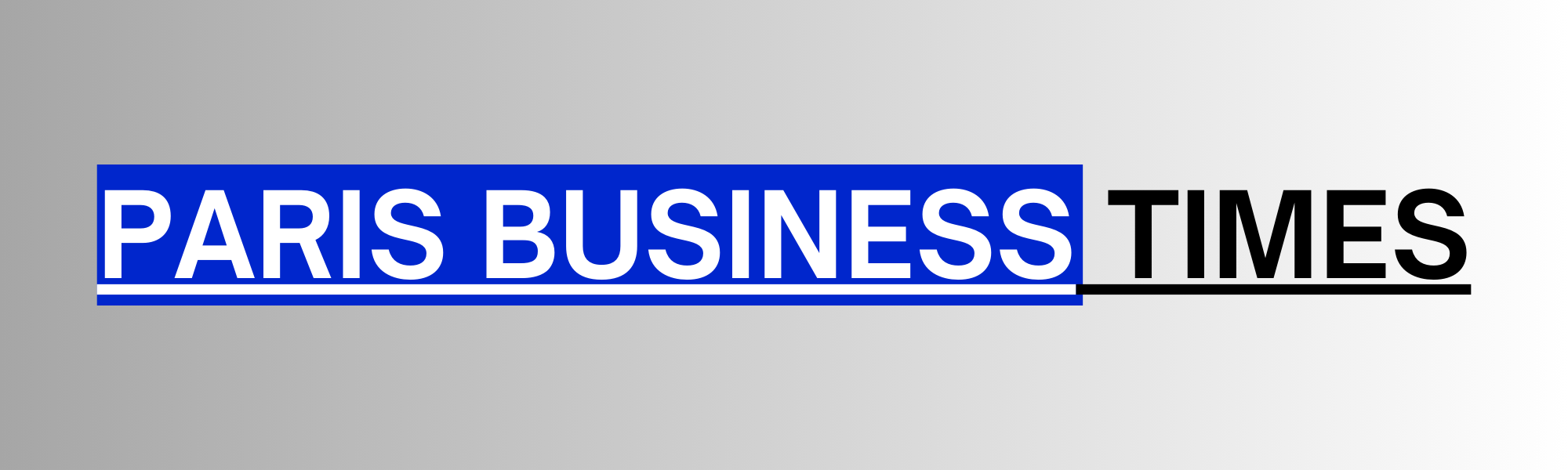 PARIS BUSINESS TIMES